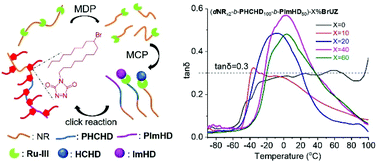 Graphical abstract: Tandem metathesis depolymerization and cyclopolymerization toward flexible–rigid block copolymers with unique damping properties