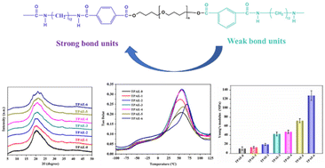 Graphical abstract: Structures and properties of newly synthesized semi-aromatic polyamide thermoplastic elastomers