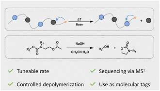 Graphical abstract: Discrete, self-immolative N-substituted oligourethanes and their use as molecular tags