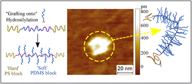 Graphical abstract: Synthesis of well-defined linear–bottlebrush–linear triblock copolymer towards architecturally-tunable soft materials