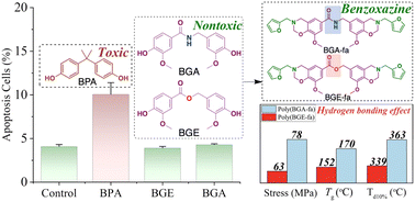 Graphical abstract: Synthesis of a renewable bisguaiacol amide and its hydrogen bonding effect on enhancing polybenzoxazine performance