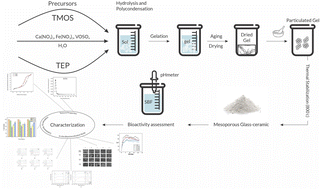 Graphical abstract: The effect of vanadium ferrite doping on the bioactivity of mesoporous bioactive glass-ceramics