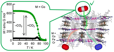 Graphical abstract: Inter-layer magnetic tuning by gas adsorption in π-stacked pillared-layer framework magnets
