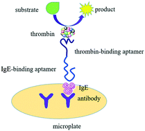 Graphical abstract: Thrombin-linked aptamer assay for sensitive detection of immunoglobulin E in sandwich format