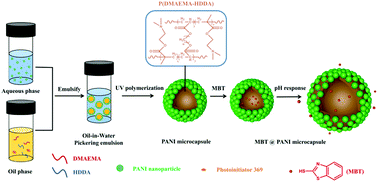 Graphical abstract: Fabrication of dual anti-corrosive polyaniline microcapsules via Pickering emulsion for active corrosion protection of steel