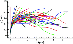 Graphical abstract: Modeling the dynamic growth and branching of actin filaments