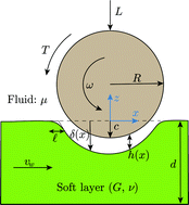 Graphical abstract: Rotation–translation coupling of soft objects in lubricated contact