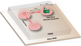 Graphical abstract: Polymer multilayer films regulate macroscopic fluid flow and power microfluidic devices via supramolecular interactions