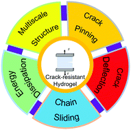 Graphical abstract: Recent advances in multi-mechanism design of crack-resistant hydrogels