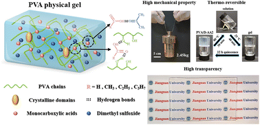 Graphical abstract: A monocarboxylic acid induction strategy to prepare tough and thermo-reversible poly(vinyl alcohol) physical gels with high transparency
