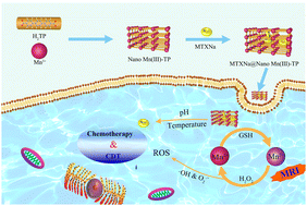 Graphical abstract: Preparation of nanoscale cationic metal–organic framework Nano Mn(iii)-TP for theranostics based on valence changes