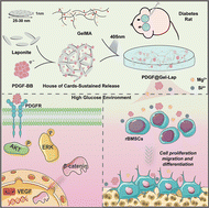 Graphical abstract: A sustained-release PDGF-BB nanocomposite hydrogel for DM-associated bone regeneration