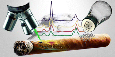Graphical abstract: How tobacco (Nicotiana tabacum) BY-2 cells cope with Eu(iii) – a microspectroscopic study