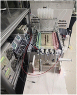 Graphical abstract: Separation and purification of active ingredients in tobacco by free-flow electrophoresis