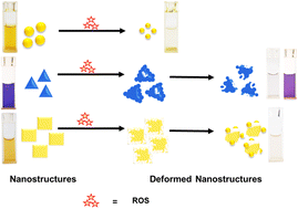 Graphical abstract: Spectroscopic/colorimetric dual-mode rapid and ultrasensitive detection of reactive oxygen species based on shape-dependent silver nanostructures