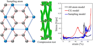 Graphical abstract: The atom sampling method for mesoscale molecular dynamics and its application to graphene assemblies