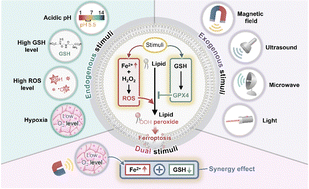 Graphical abstract: Stimuli-responsive ferroptosis for cancer therapy
