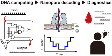 Graphical abstract: Harnessing DNA computing and nanopore decoding for practical applications: from informatics to microRNA-targeting diagnostics