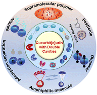 Graphical abstract: Double-cavity cucurbiturils: synthesis, structures, properties, and applications