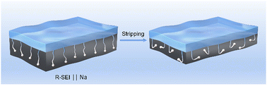 Graphical abstract: A rooted interphase on sodium via in situ pre-implantation of fluorine atoms for high-performance sodium metal batteries