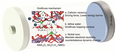Graphical abstract: Highly stable manganese oxide cathode material enabled by Grotthuss topochemistry for aqueous zinc ion batteries