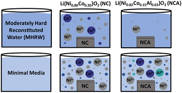 Graphical abstract: Influence of aluminum incorporation and aqueous conditions on metal ion release of high-Ni transition metal oxide nanomaterials