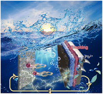 Graphical abstract: Asymmetric structural tuning of industrial MnO2 arrays on a hierarchical lead-based anode for manganese metallurgy
