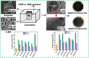 Graphical abstract: Plant extract-based liquid phase exfoliation enables one-step green production of two-dimensional heterostructure nanohybrids capable of dramatic improvement in polymer properties