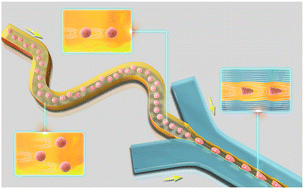 Graphical abstract: High-throughput adjustable deformability cytometry utilizing elasto-inertial focusing and virtual fluidic channel