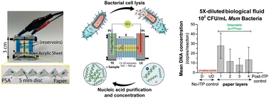 Graphical abstract: Integrated bacterial cell lysis and DNA extraction using paper-based isotachophoresis