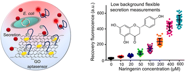 Graphical abstract: Graphene oxide aptasensor droplet assay for detection of metabolites secreted by single cells applied to synthetic biology