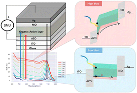 Graphical abstract: Bias switchable narrowband/broadband NIR organic photodetector fabricated with a scalable technique