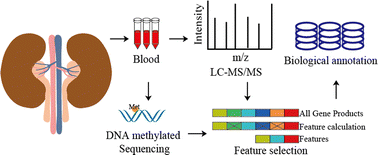 Graphical abstract: A blood-based multi-omic landscape for the molecular characterization of kidney stone disease