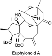 Graphical abstract: Hot off the Press