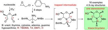 Graphical abstract: Triaza-tricyclanos – synthesis of a new class of tricyclic nucleoside analogues by stereoselective cascade cyclocondensation