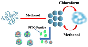 Graphical abstract: Pseudopeptosomes: non-lipidated vesicular assemblies from bispidine-appended pseudopeptides