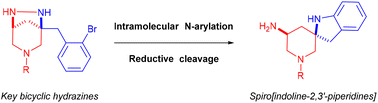 Graphical abstract: Intramolecular Buchwald–Hartwig N-arylation of bicyclic hydrazines: practical access to spiro[indoline-2,3′-piperidines]