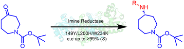 Graphical abstract: Semi-rational design of an imine reductase for asymmetric synthesis of alkylated S-4-azepanamines