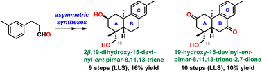 Graphical abstract: Asymmetric syntheses of ent-pimarane diterpenoids