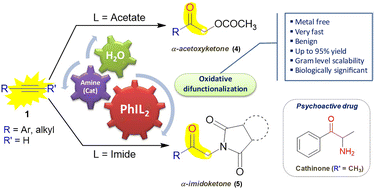 Graphical abstract: Water-based efficient alkyne transformation towards α-acetoxy/imido-ketones via oxidative coupling reactions using an alkylamine catalyst