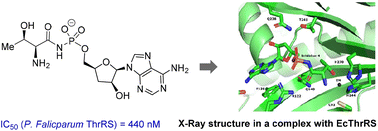 Graphical abstract: Synthesis and evaluation of an agrocin 84 toxic moiety (TM84) analogue as a malarial threonyl tRNA synthetase inhibitor