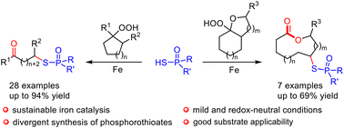 Graphical abstract: Iron-catalyzed alkoxyl radical-mediated C–C bond cleavage/phosphorothiolation: a new approach to functionalized S-alkyl phosphorothioates