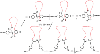 Graphical abstract: Glaser coupling for the synthesis of transformable polymacrocyclic polymers
