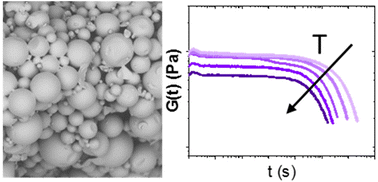 Graphical abstract: Scalable synthesis of methacrylate-based vitrimer powders by suspension polymerization