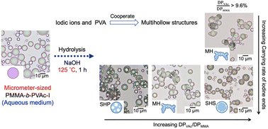 Graphical abstract: Iodine-influenced morphological evolution of micrometer-sized poly(methyl methacrylate)-block-poly(vinyl acetate) particles upon hydrolysis