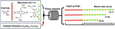 Graphical abstract: Precision control of molecular weight ratios in fully conjugated block copolymers using flow synthesis