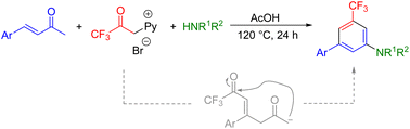 Graphical abstract: An alternative metal-free amination approach to 3-trifluoromethyl aniline derivatives: the major products under Kröhnke pyridine synthesis conditions