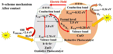 Graphical abstract: Engineering S-scheme CuO/ZnO heterojunctions sonochemically for eradicating RhB dye from wastewater under solar radiation