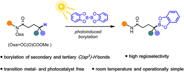 Graphical abstract: Metal-free, photoinduced remote C(sp3)–H borylation