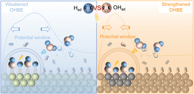 Graphical abstract: Alleviating the competitive adsorption of hydrogen and hydroxyl intermediates on Ru by d–p orbital hybridization for hydrogen electrooxidation